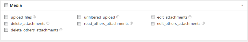 Media file capabilities